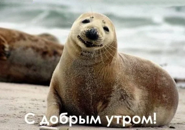 с добрым утром.webp