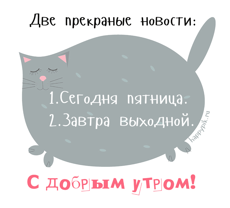 s-dobrym-utrom-zhivotnye24_happypik.ru_.jpg