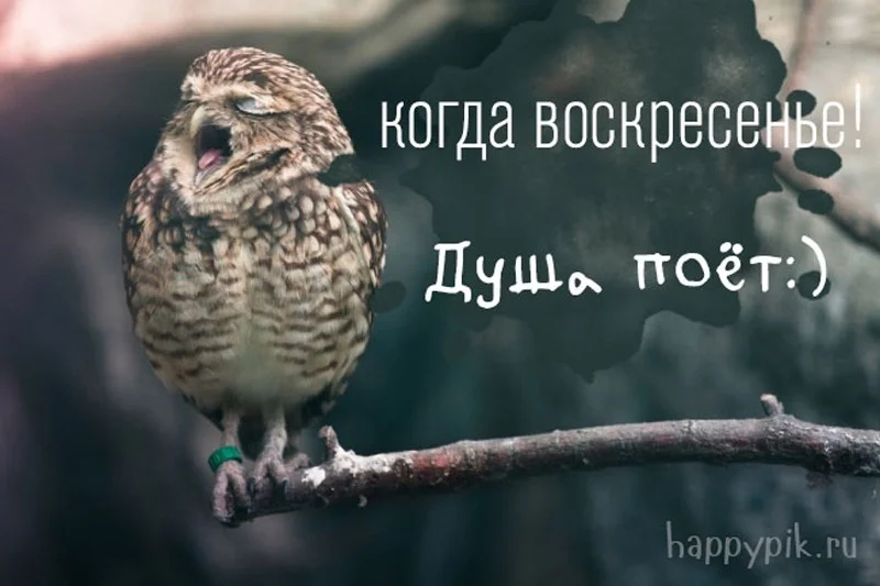 s-dobrym-utrom2_happypik.ru_.jpg