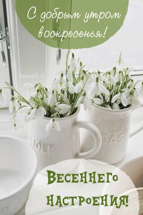 s-dobrym-vesennim-utrom26.webp