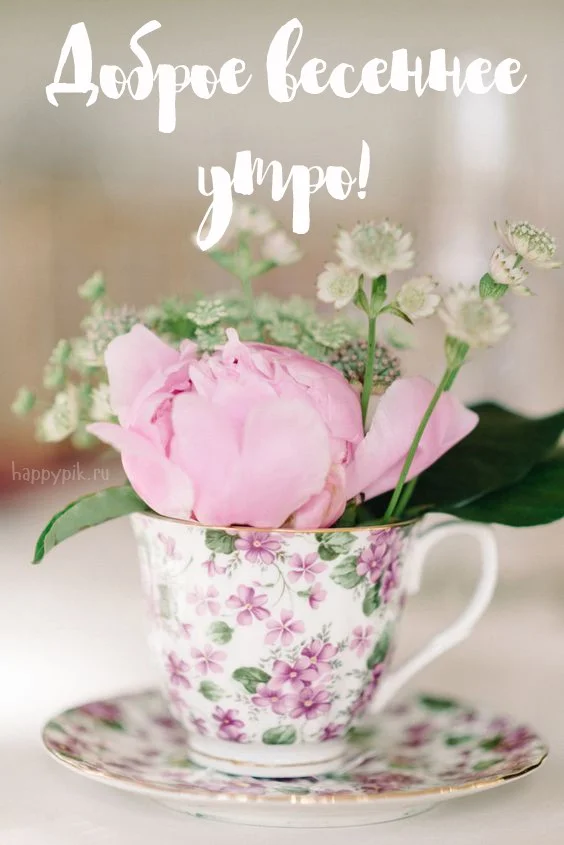 s-dobrym-vesennim-utrom36.webp