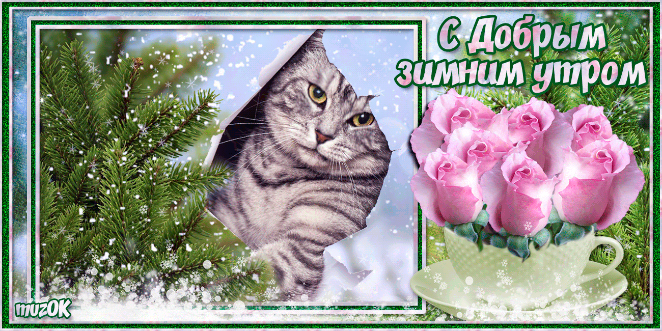 s-dobrym-zimnim-utrom-rozy-dlya-tebya-muzykalnaya-otkrytka.gif