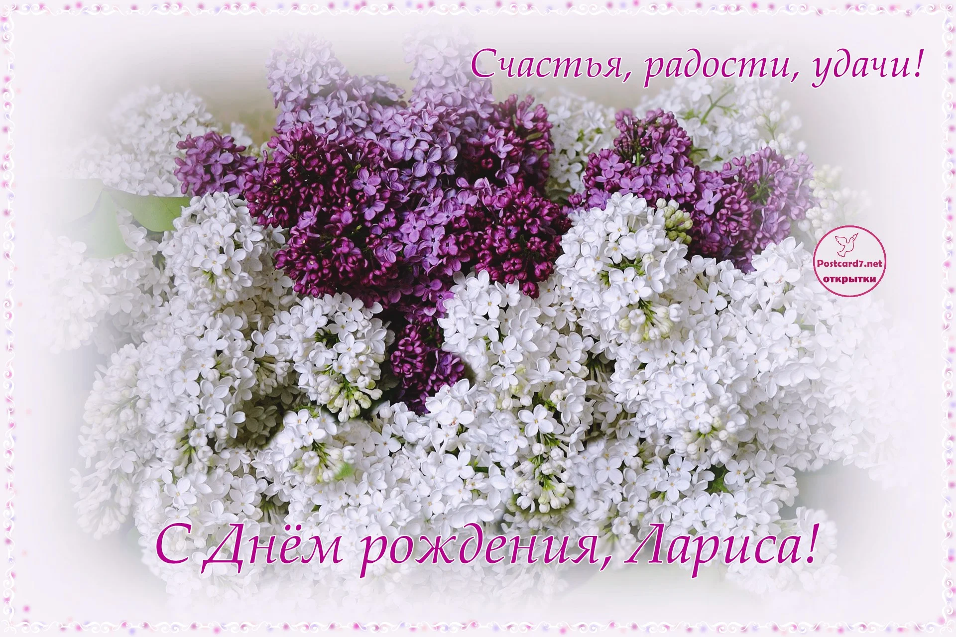 С-ДР-Лариса-сирень.webp