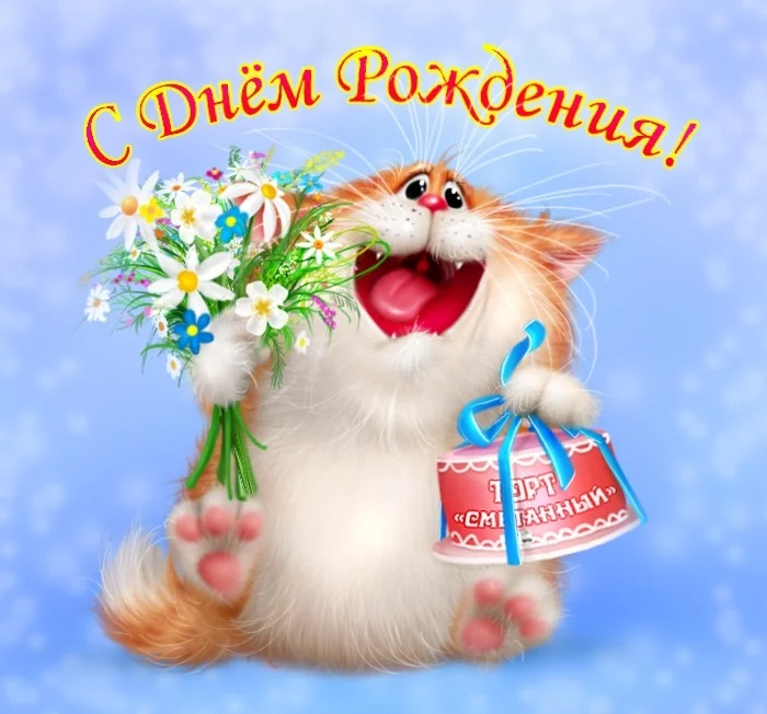 с-др.webp
