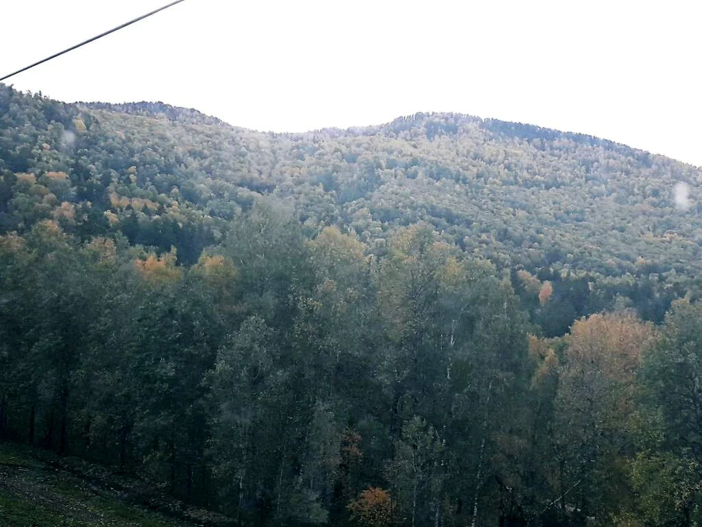 с горы вид.webp