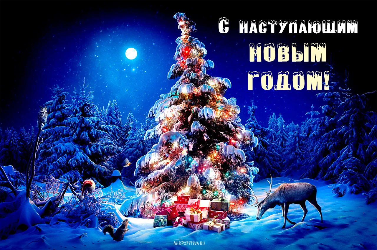 s-nastupayuschim-novim-godom-3.webp