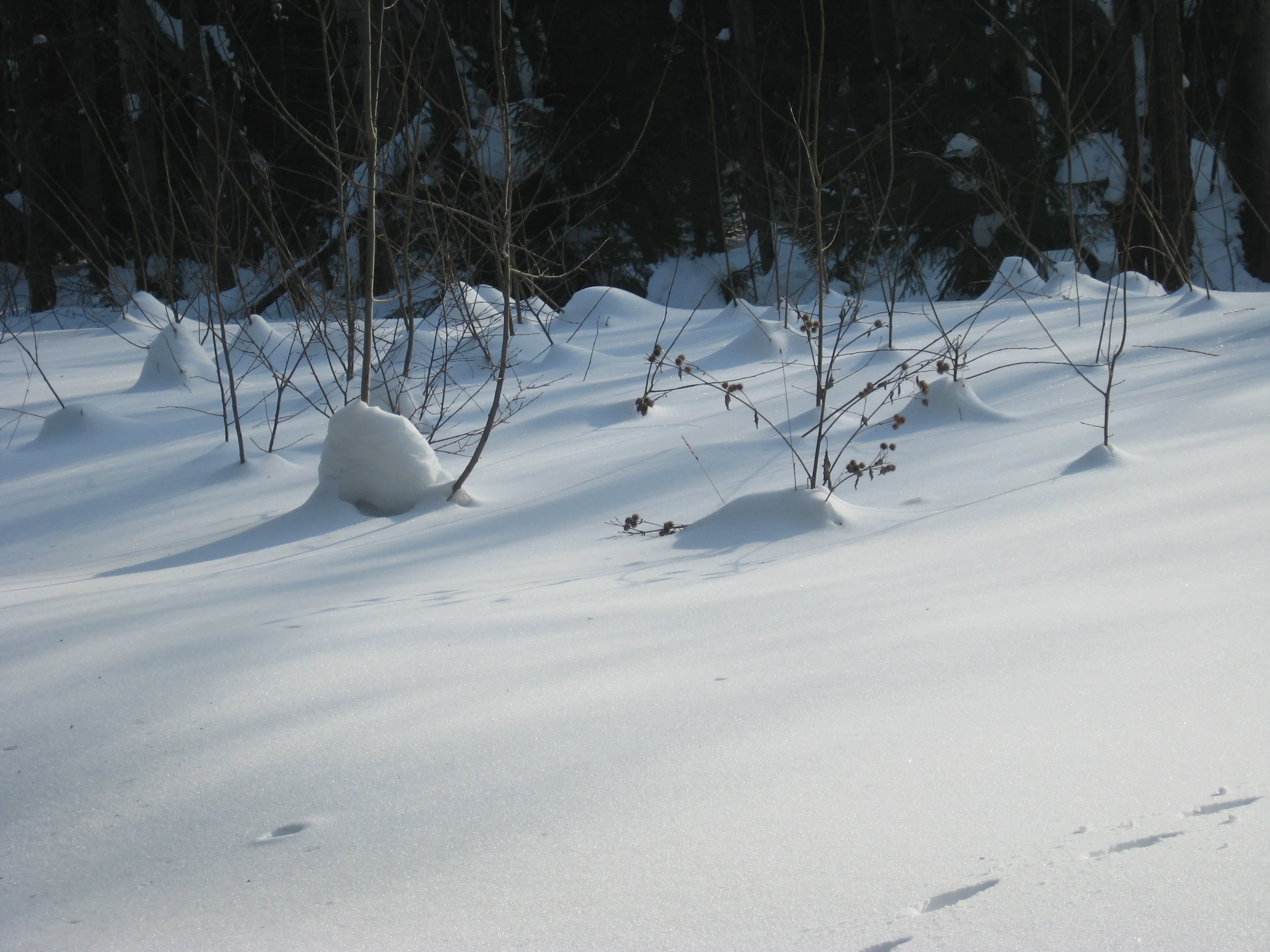 с нокии 008.webp