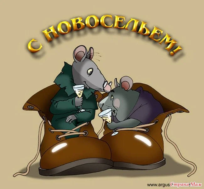 с новосельем.webp