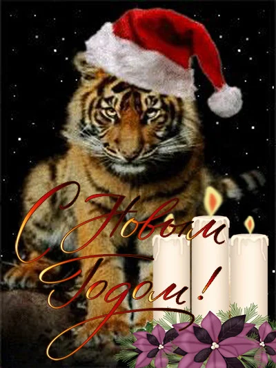 s-novym-godom-tigra-kartinka.webp