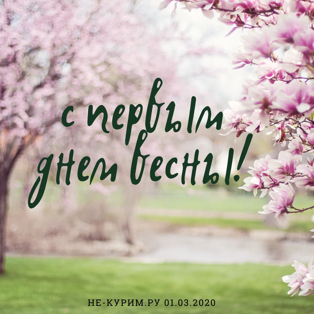 с первым днем весны!.webp
