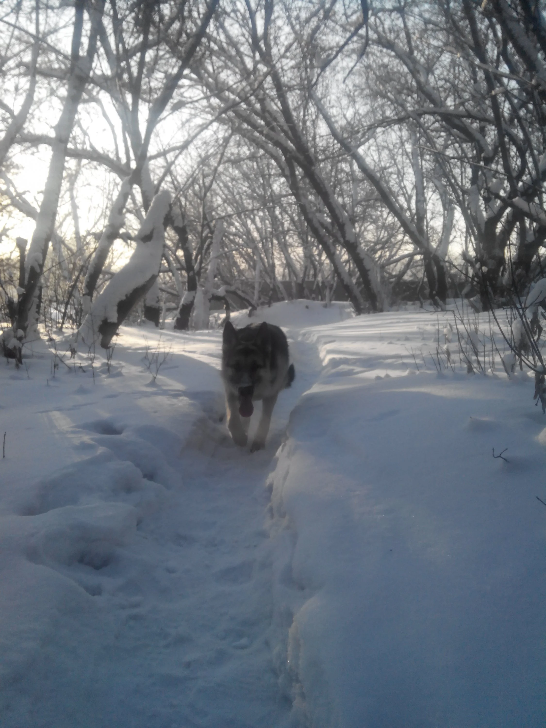 с телефона 1019.webp