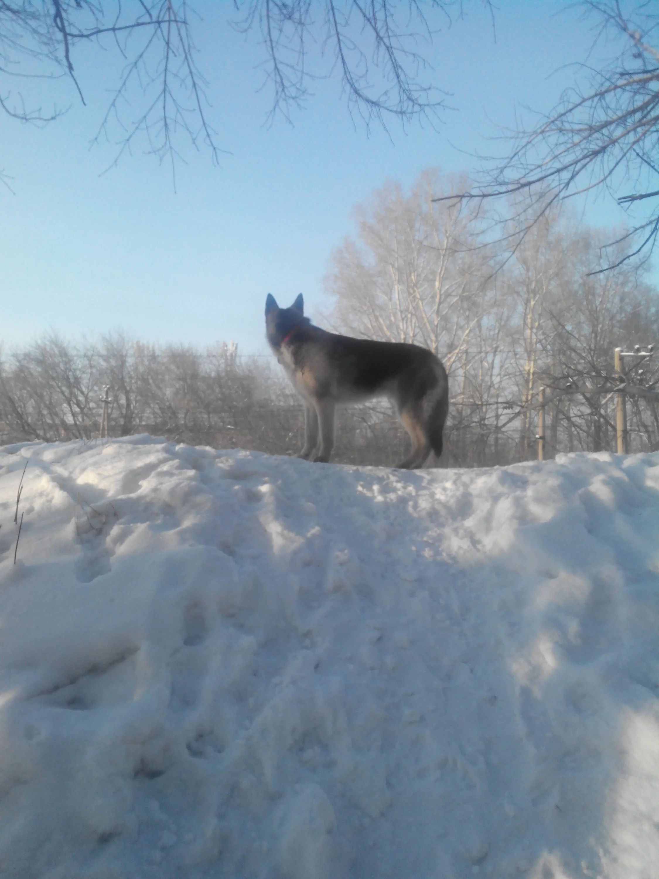 с телефона 1022.webp