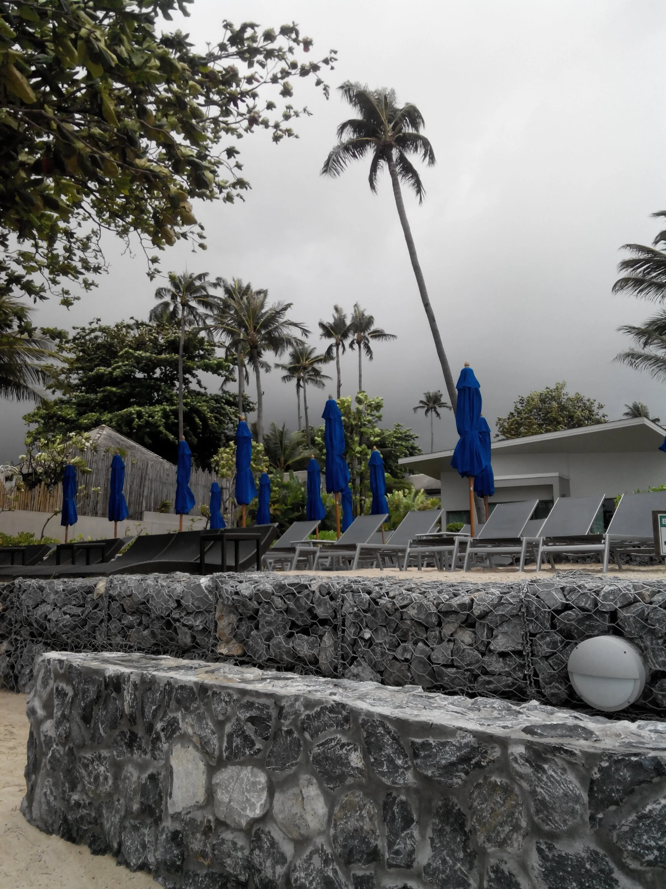 с телефона 396.webp