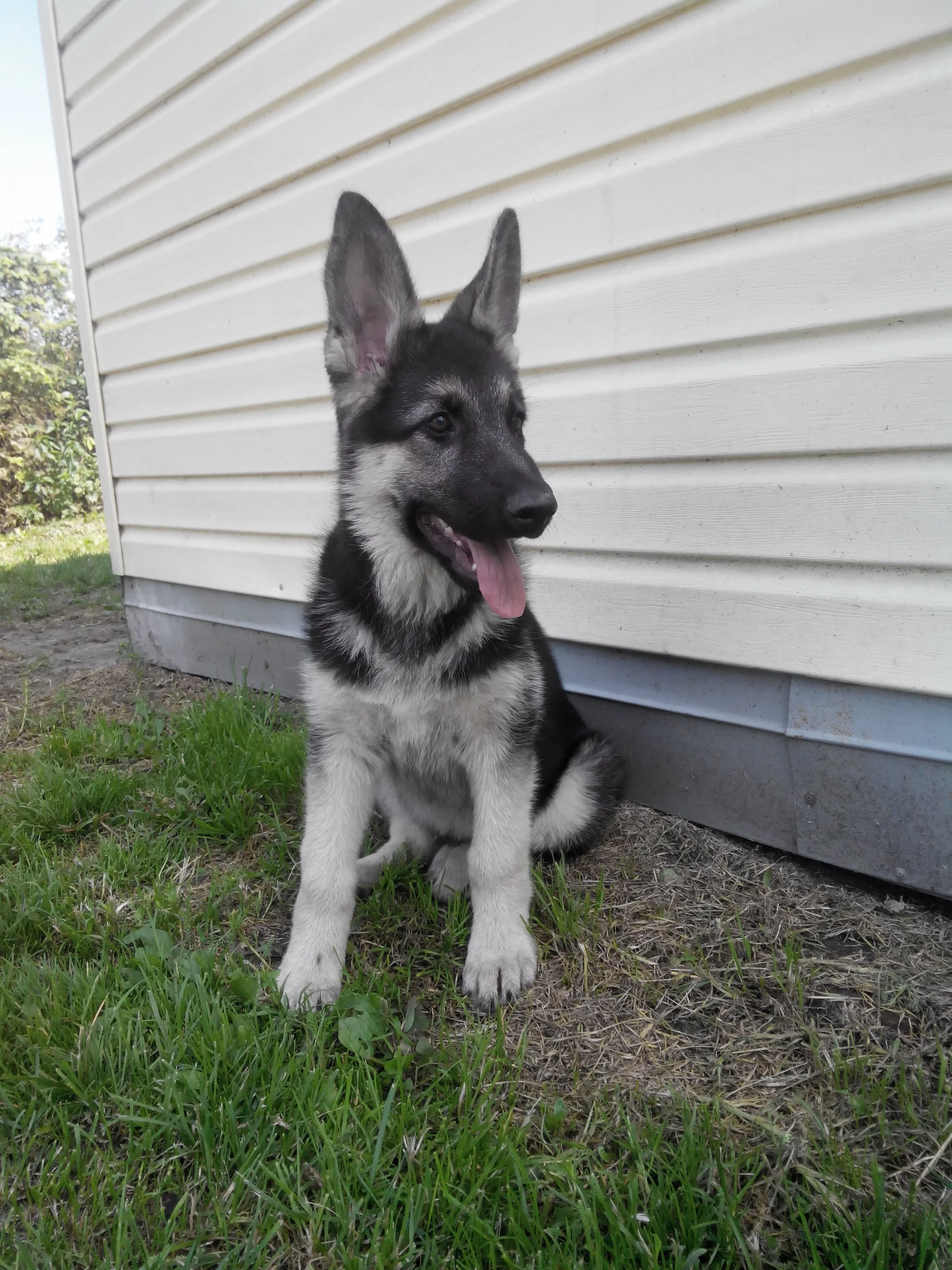 с телефона 795.webp