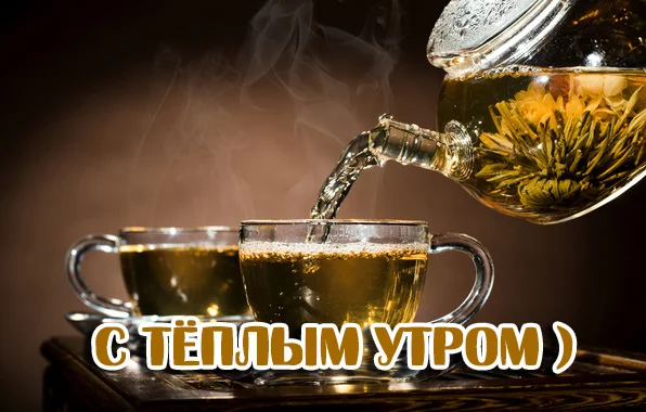 с темлым утром.webp