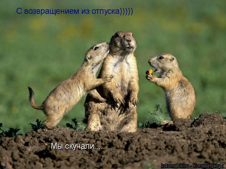 с возвращением.webp