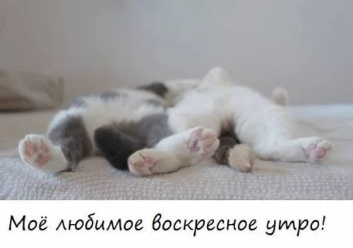 s00462265.webp
