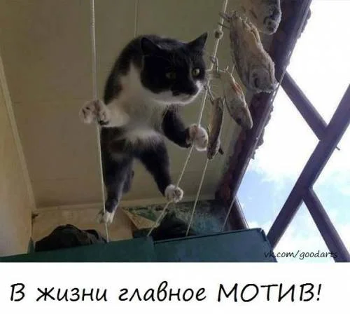 s26321283.webp