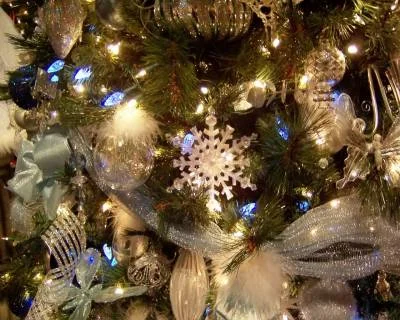 s35661788.webp