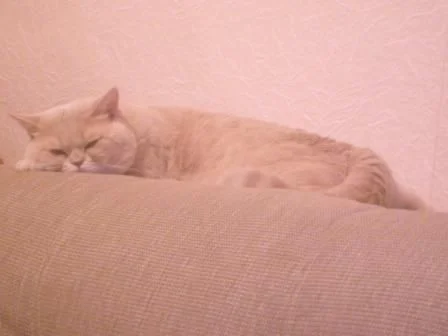 S6300301 - копия.webp