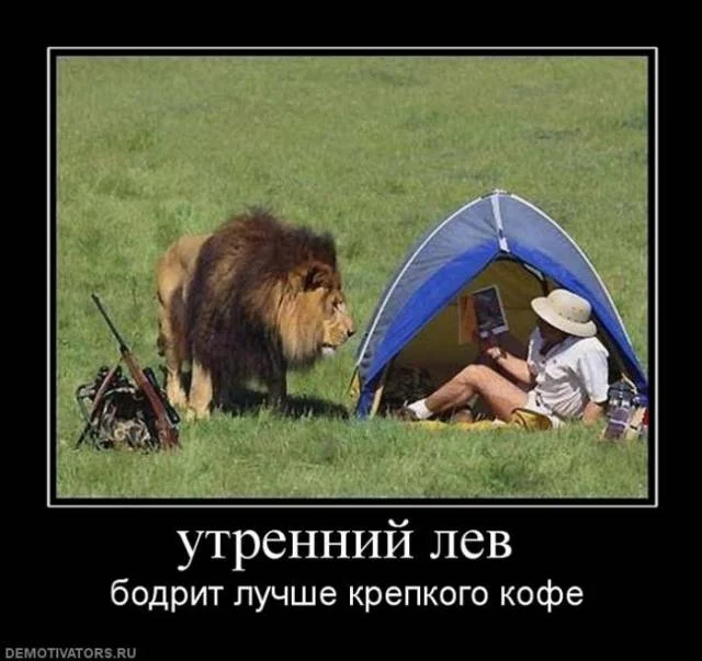 s95649825.webp