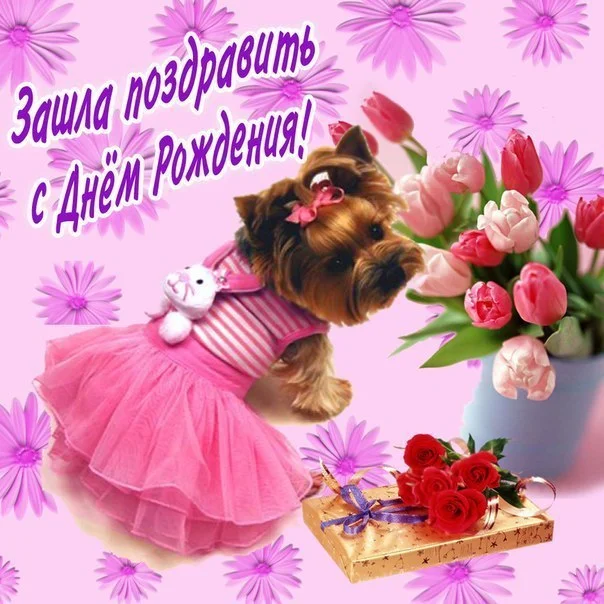 S_dnyom_rozhdeniya_nasimke_ru.webp
