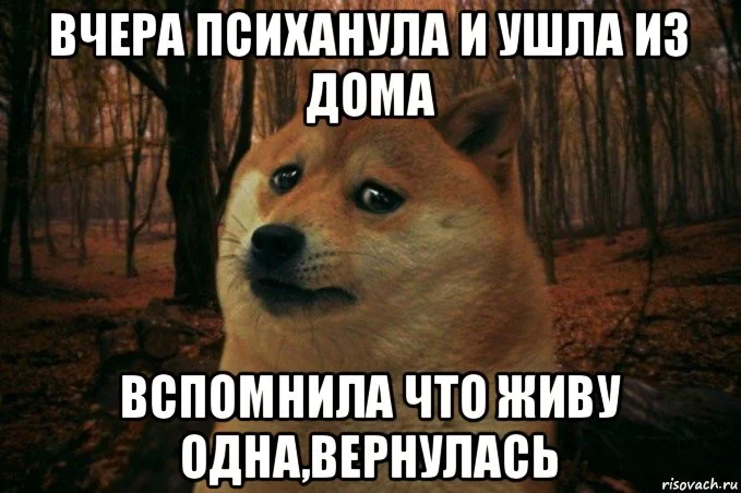 sad-doge_82281105_orig_.webp