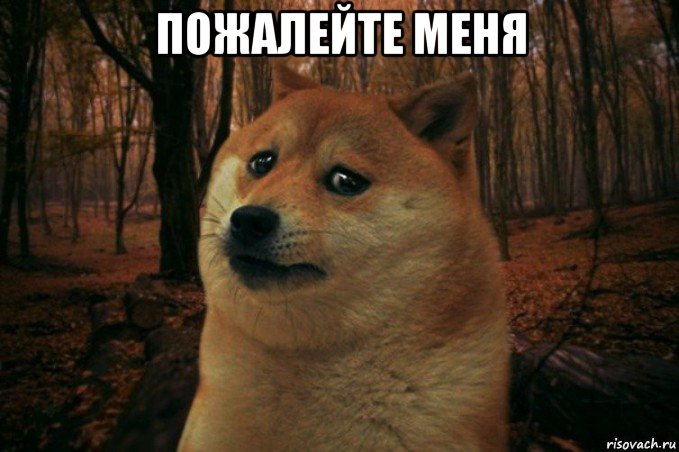 sad-doge_84642442_orig_.jpg