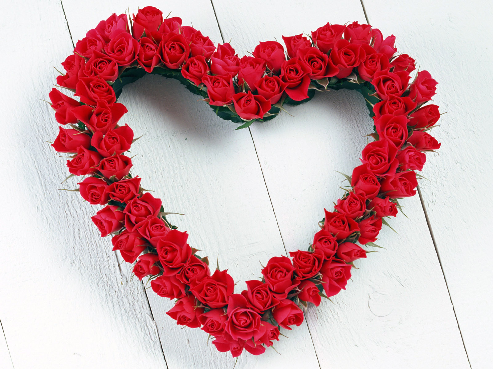 Saint_Valentines_Day_Beautiful_red_roses_St._Valentine_s_Day_013094_.jpg