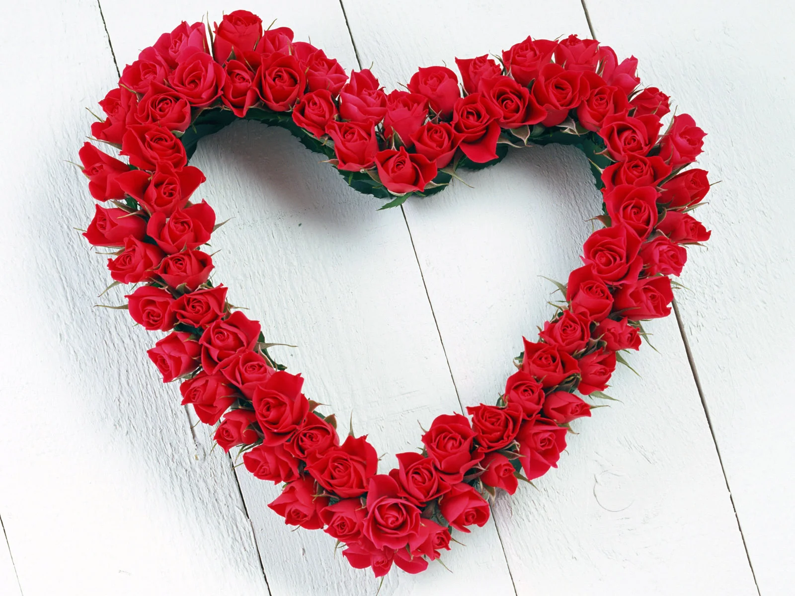 Saint_Valentines_Day_Beautiful_red_roses_St._Valentine_s_Day_013094_.webp