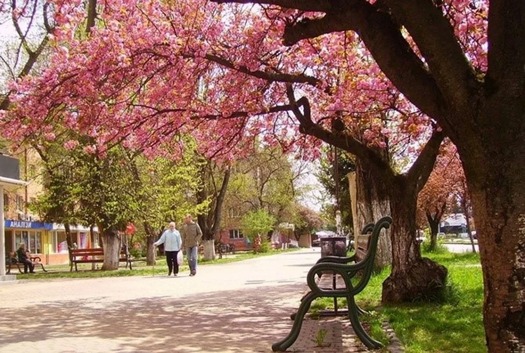 sakura-uzhgorod_8.webp