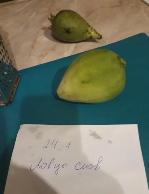 салат из редьки1.webp