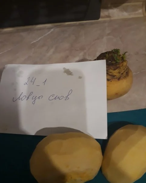 салат из репки1.webp