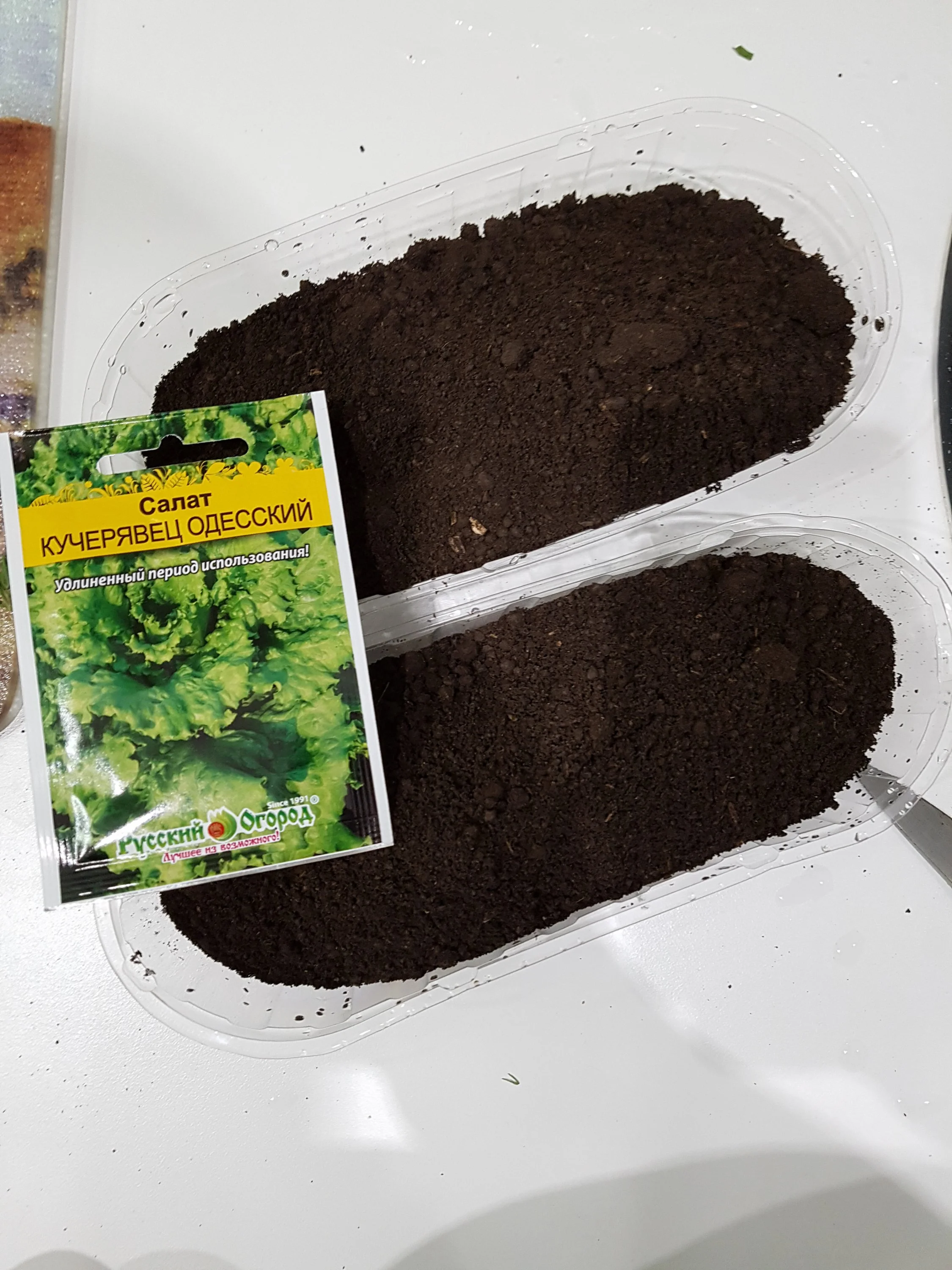 салат посадка денис.webp