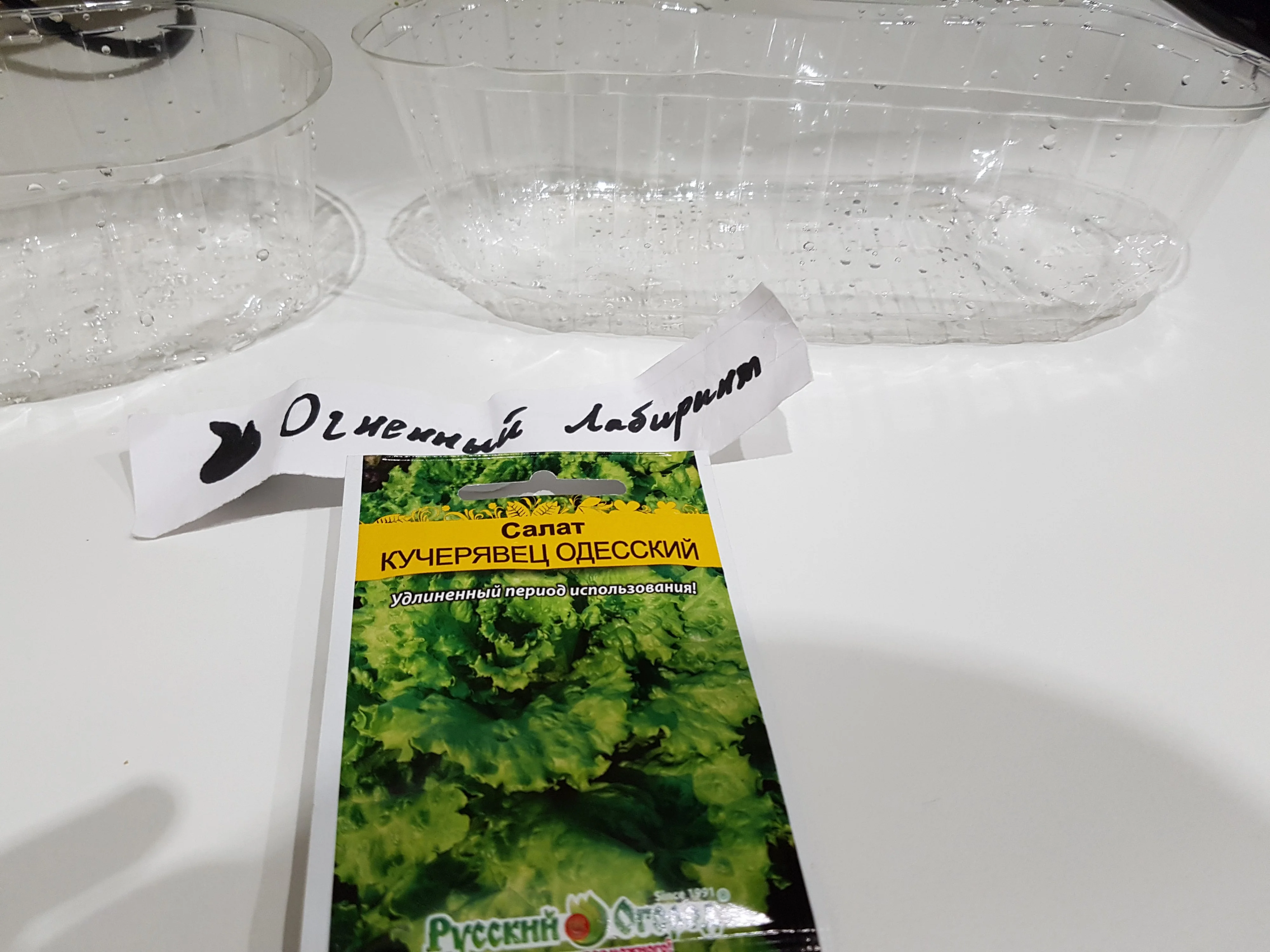 салат посадка денис2.webp