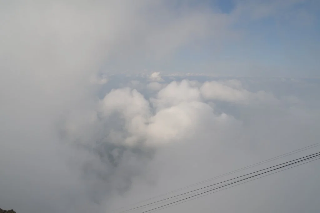 SAM_5894.webp