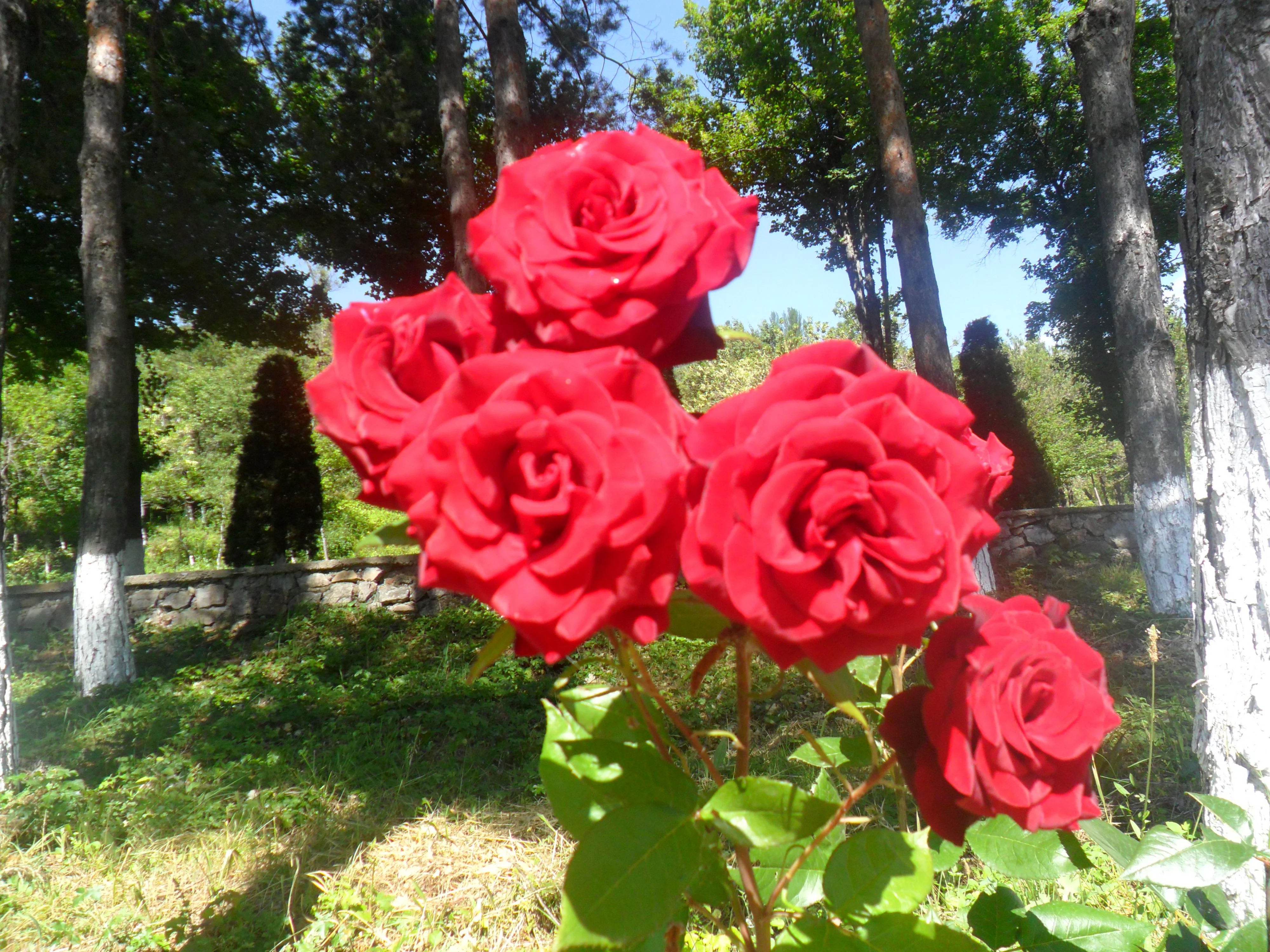 SAM_7867.webp