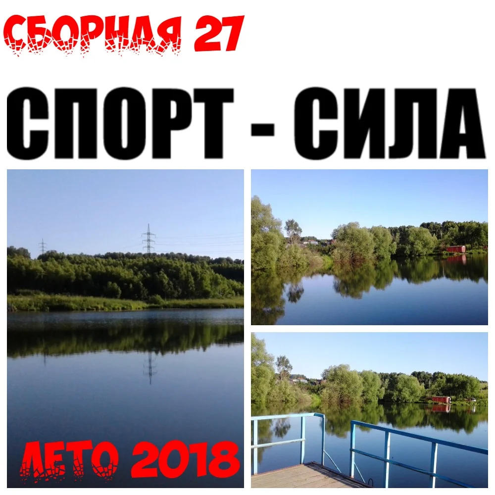 Саммер коллаж.webp