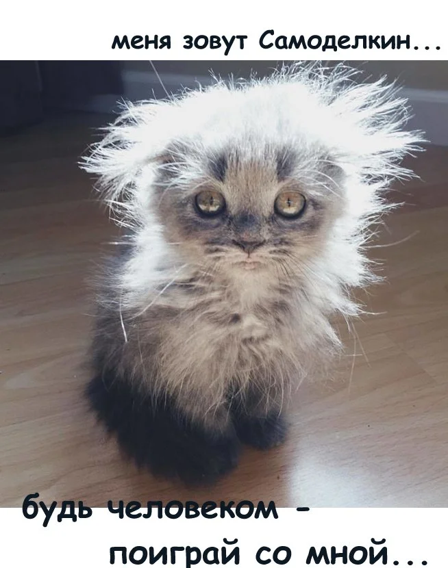 самоделкин - поиграй.webp