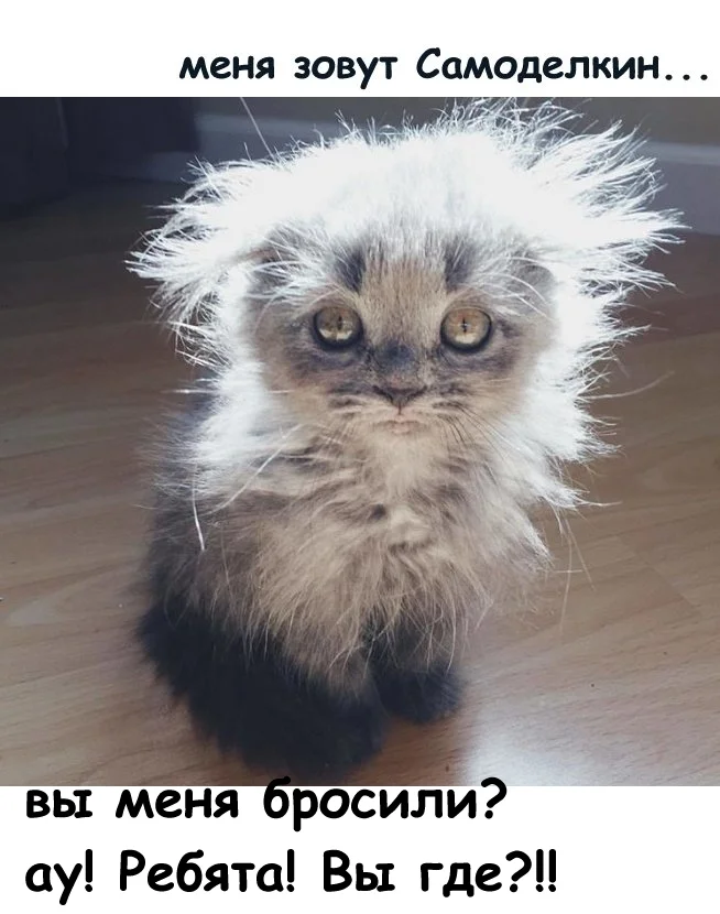 самоделкин - вы где.webp