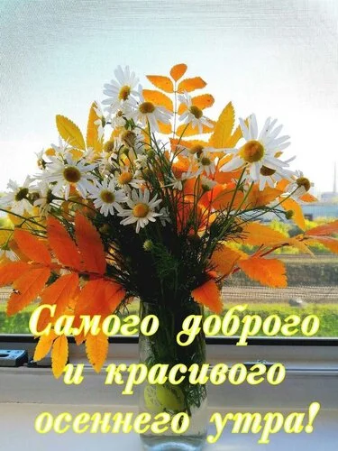 samogo-dobrogo-i-krasivogo-osennego-utra.webp