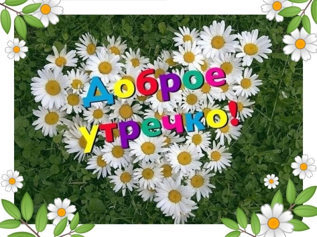 самого-доброго-летнего-утра-365.webp