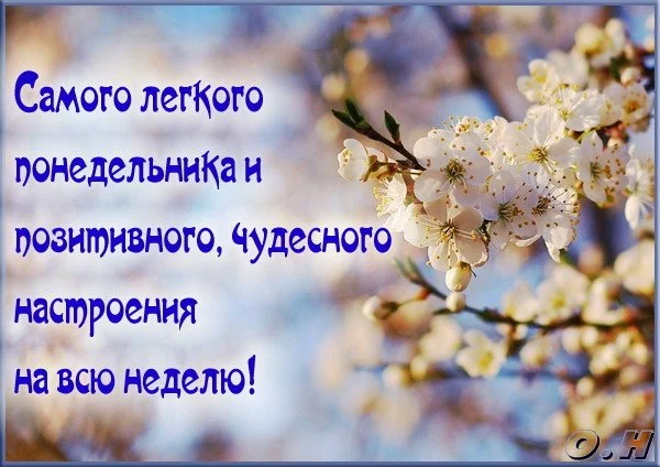 samogo-legkogo-ponedelnika-i-pozitivnogo-nastroeniya-na-vsyu-nedelyu.jpg