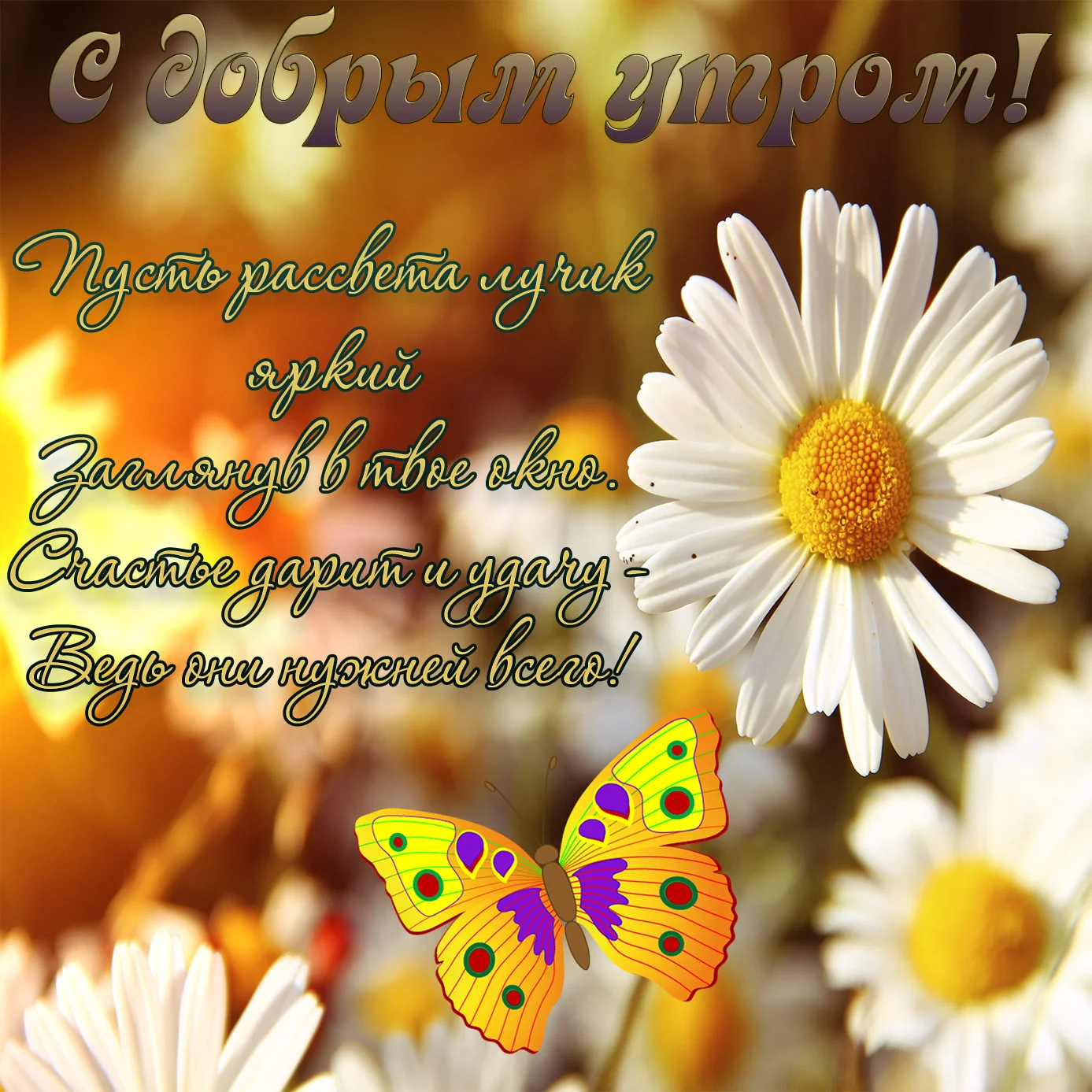 samye-luchshie-pozdravitelnye-otkrytki-i-kartinki-s-dobrym-utrom-61.webp