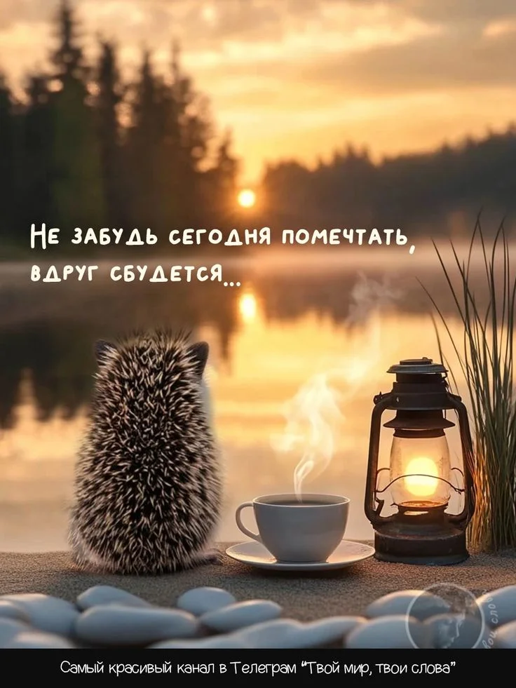 Самый красивый канал в ТГ.jpeg.webp