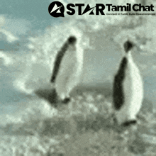 sanjay-chat-tamil-chat.gif