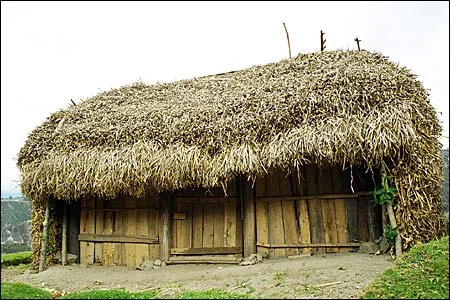 сарай.webp