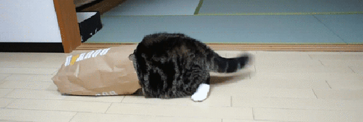 SardonicBlindChevrotain-size_restricted.gif