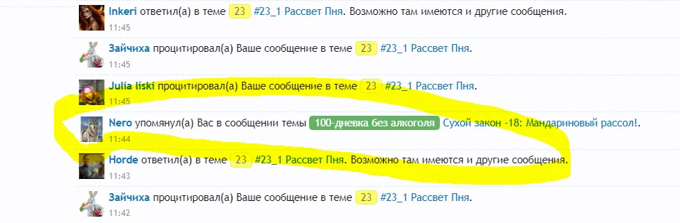 Саша, отбивка.webp