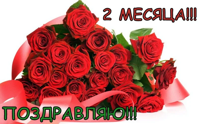 Сахарнову 2.webp